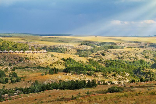 Crystal Springs